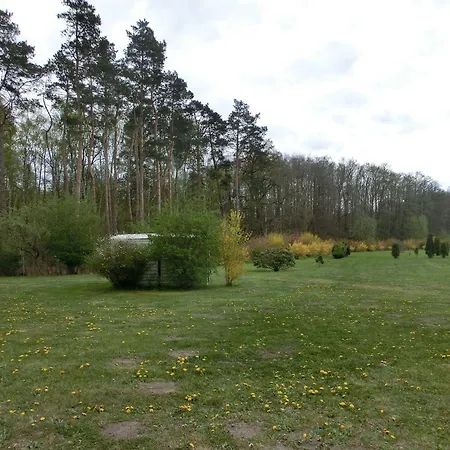 Kuestenwald Eikkater 2 Eg Seutter - Gm 69763 Muritz