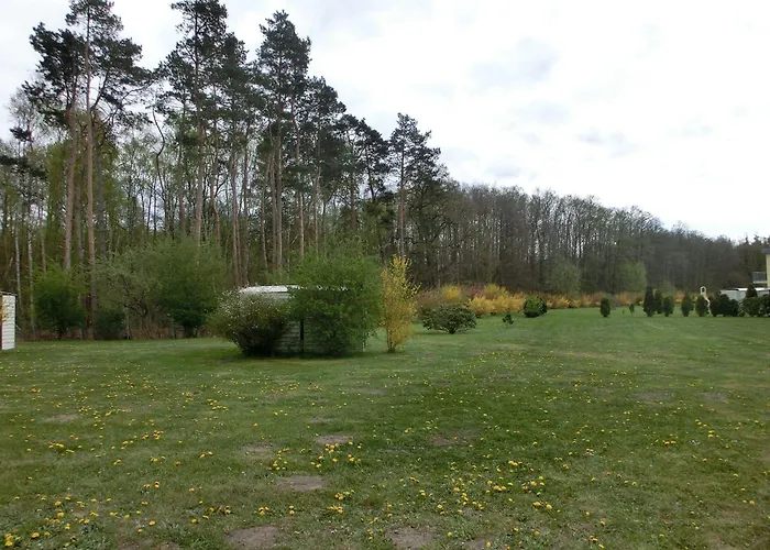 Kuestenwald Eikkater 2 Eg Seutter - Gm 69763 Muritz